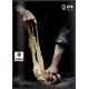 Catalogo Ilve